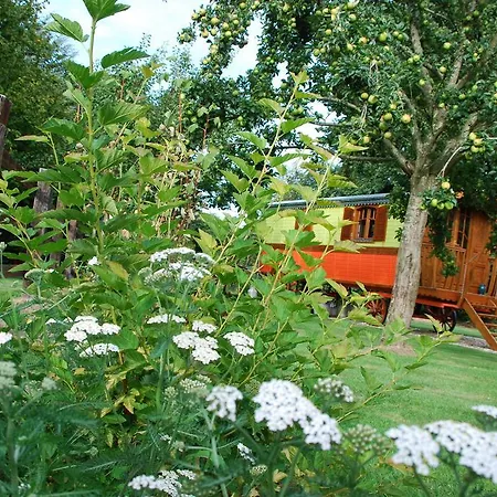 Capucine Holiday home